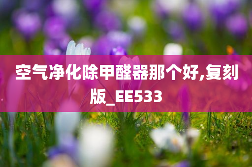 空气净化除甲醛器那个好,复刻版_EE533