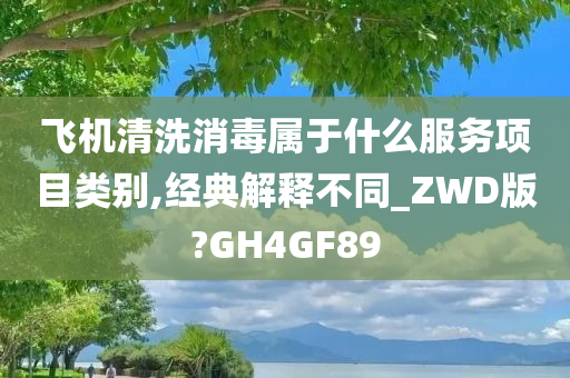 飞机清洗消毒属于什么服务项目类别,经典解释不同_ZWD版?GH4GF89