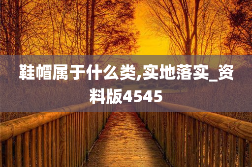 鞋帽属于什么类,实地落实_资料版4545