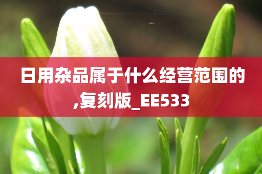 日用杂品属于什么经营范围的,复刻版_EE533