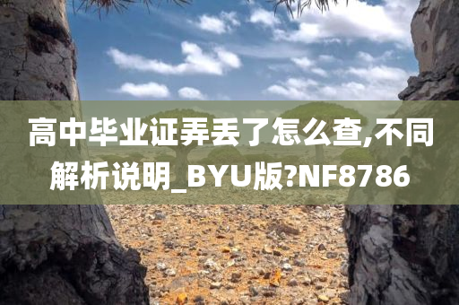 高中毕业证弄丢了怎么查,不同解析说明_BYU版?NF8786