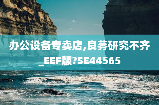 办公设备专卖店,良莠研究不齐_EEF版?SE44565