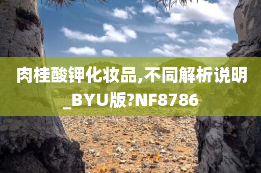 肉桂酸钾化妆品,不同解析说明_BYU版?NF8786