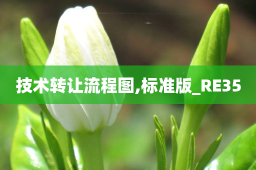 技术转让流程图,标准版_RE35