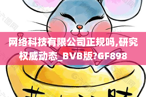 网络科技有限公司正规吗,研究权威动态_BVB版?GF898