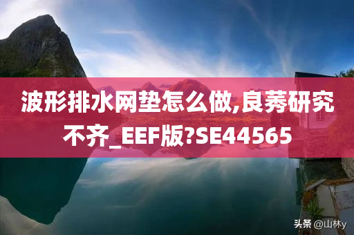 波形排水网垫怎么做,良莠研究不齐_EEF版?SE44565