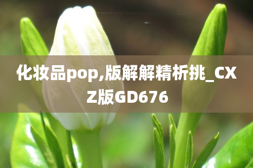 化妆品pop,版解解精析挑_CXZ版GD676