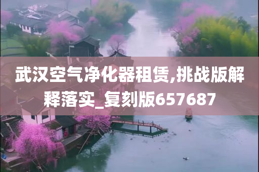 武汉空气净化器租赁,挑战版解释落实_复刻版657687