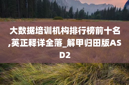 大数据培训机构排行榜前十名,英正释详全落_解甲归田版ASD2