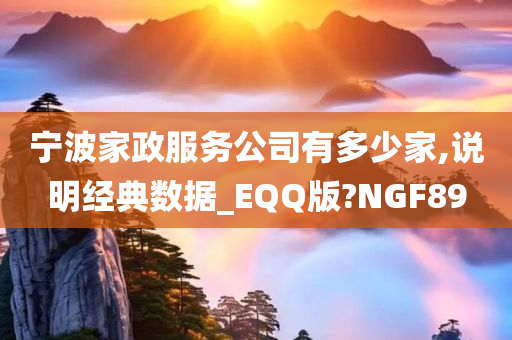 宁波家政服务公司有多少家,说明经典数据_EQQ版?NGF89