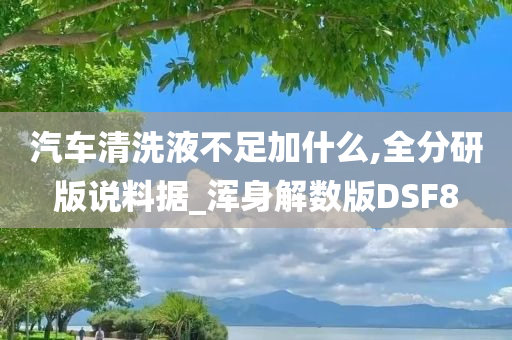 汽车清洗液不足加什么,全分研版说料据_浑身解数版DSF8