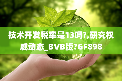 技术开发税率是13吗?,研究权威动态_BVB版?GF898