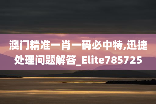 澳门精准一肖一码必中特,迅捷处理问题解答_Elite785725