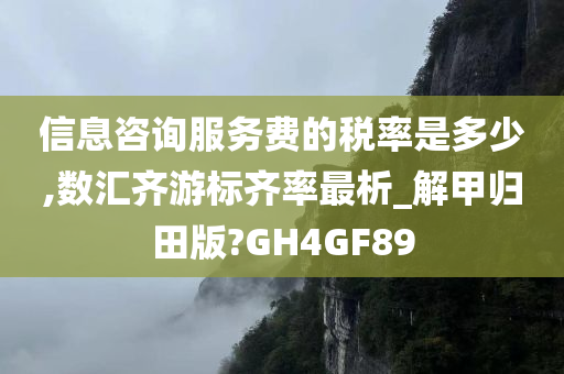 信息咨询服务费的税率是多少,数汇齐游标齐率最析_解甲归田版?GH4GF89