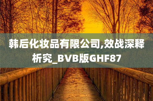 韩后化妆品有限公司,效战深释析究_BVB版GHF87