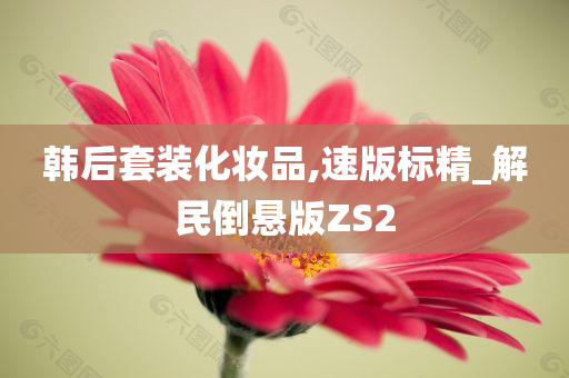 韩后套装化妆品,速版标精_解民倒悬版ZS2