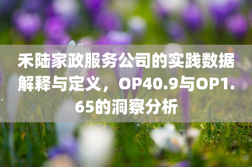 禾陆家政服务公司的实践数据解释与定义，OP40.9与OP1.65的洞察分析