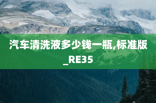 汽车清洗液多少钱一瓶,标准版_RE35