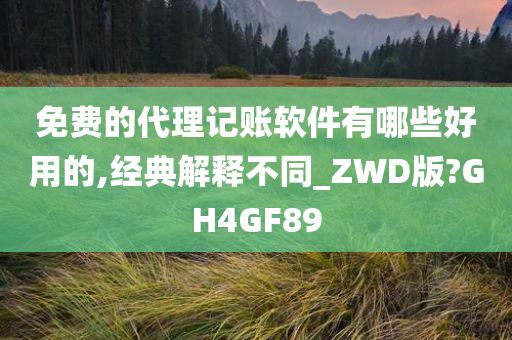 免费的代理记账软件有哪些好用的,经典解释不同_ZWD版?GH4GF89