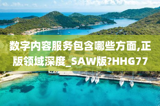 数字内容服务包含哪些方面,正版领域深度_SAW版?HHG77