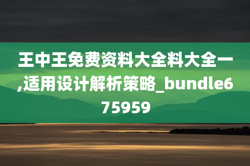 王中王免费资料大全料大全一,适用设计解析策略_bundle675959