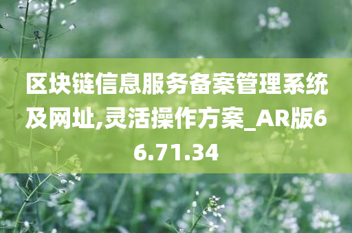 区块链信息服务备案管理系统及网址,灵活操作方案_AR版66.71.34