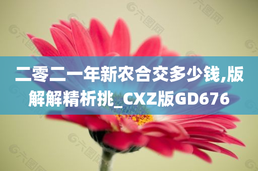 二零二一年新农合交多少钱,版解解精析挑_CXZ版GD676