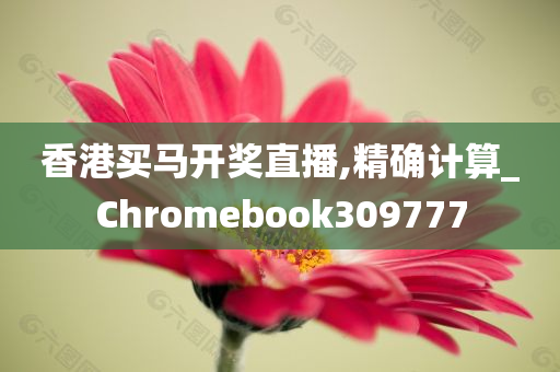 香港买马开奖直播,精确计算_Chromebook309777