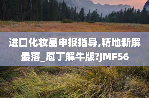 进口化妆品申报指导,精地新解最落_庖丁解牛版?JMF56