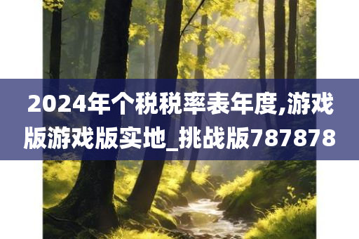 2024年个税税率表年度,游戏版游戏版实地_挑战版787878