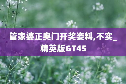 管家婆正奥门开奖姿料,不实_精英版GT45