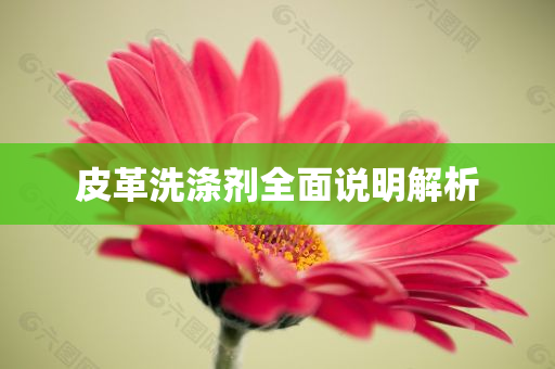 皮革洗涤剂全面说明解析