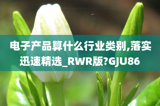 电子产品算什么行业类别,落实迅速精选_RWR版?GJU86