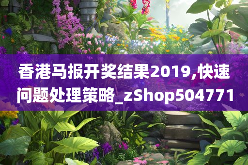 香港马报开奖结果2019,快速问题处理策略_zShop504771