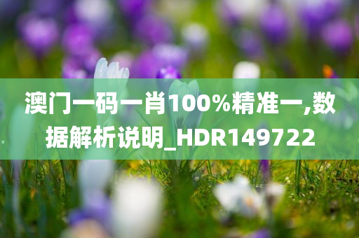 澳门一码一肖100%精准一,数据解析说明_HDR149722