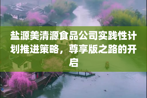 盐源美清源食品公司实践性计划推进策略，尊享版之路的开启