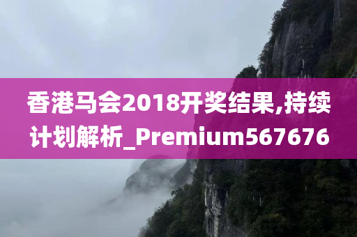 香港马会2018开奖结果,持续计划解析_Premium567676