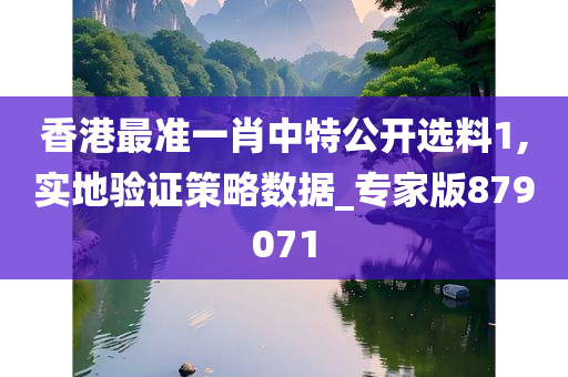 香港最准一肖中特公开选料1,实地验证策略数据_专家版879071