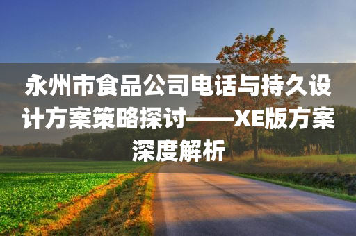 永州市食品公司电话与持久设计方案策略探讨——XE版方案深度解析