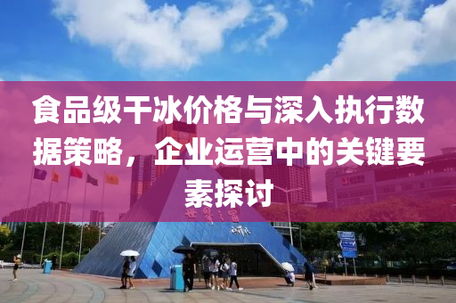 食品级干冰价格与深入执行数据策略，企业运营中的关键要素探讨