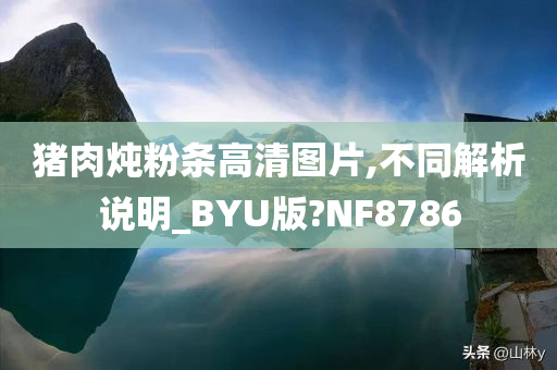 猪肉炖粉条高清图片,不同解析说明_BYU版?NF8786