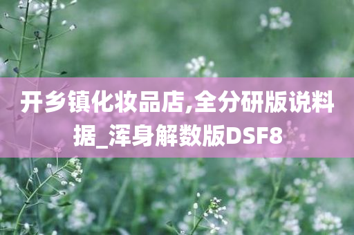 开乡镇化妆品店,全分研版说料据_浑身解数版DSF8