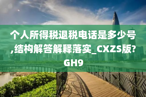 个人所得税退税电话是多少号,结构解答解释落实_CXZS版?GH9