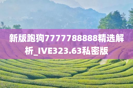 新版跑狗7777788888精选解析_IVE323.63私密版