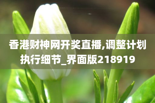 香港财神网开奖直播,调整计划执行细节_界面版218919