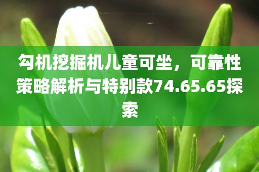 勾机挖掘机儿童可坐，可靠性策略解析与特别款74.65.65探索