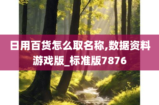 日用百货怎么取名称,数据资料游戏版_标准版7876