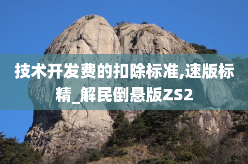 技术开发费的扣除标准,速版标精_解民倒悬版ZS2