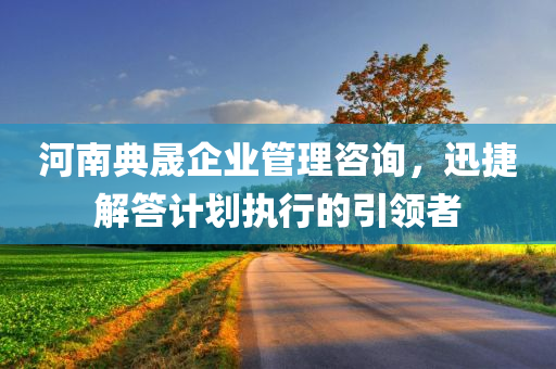 河南典晟企业管理咨询，迅捷解答计划执行的引领者