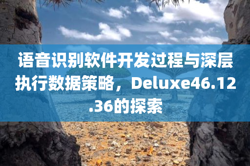 语音识别软件开发过程与深层执行数据策略，Deluxe46.12.36的探索